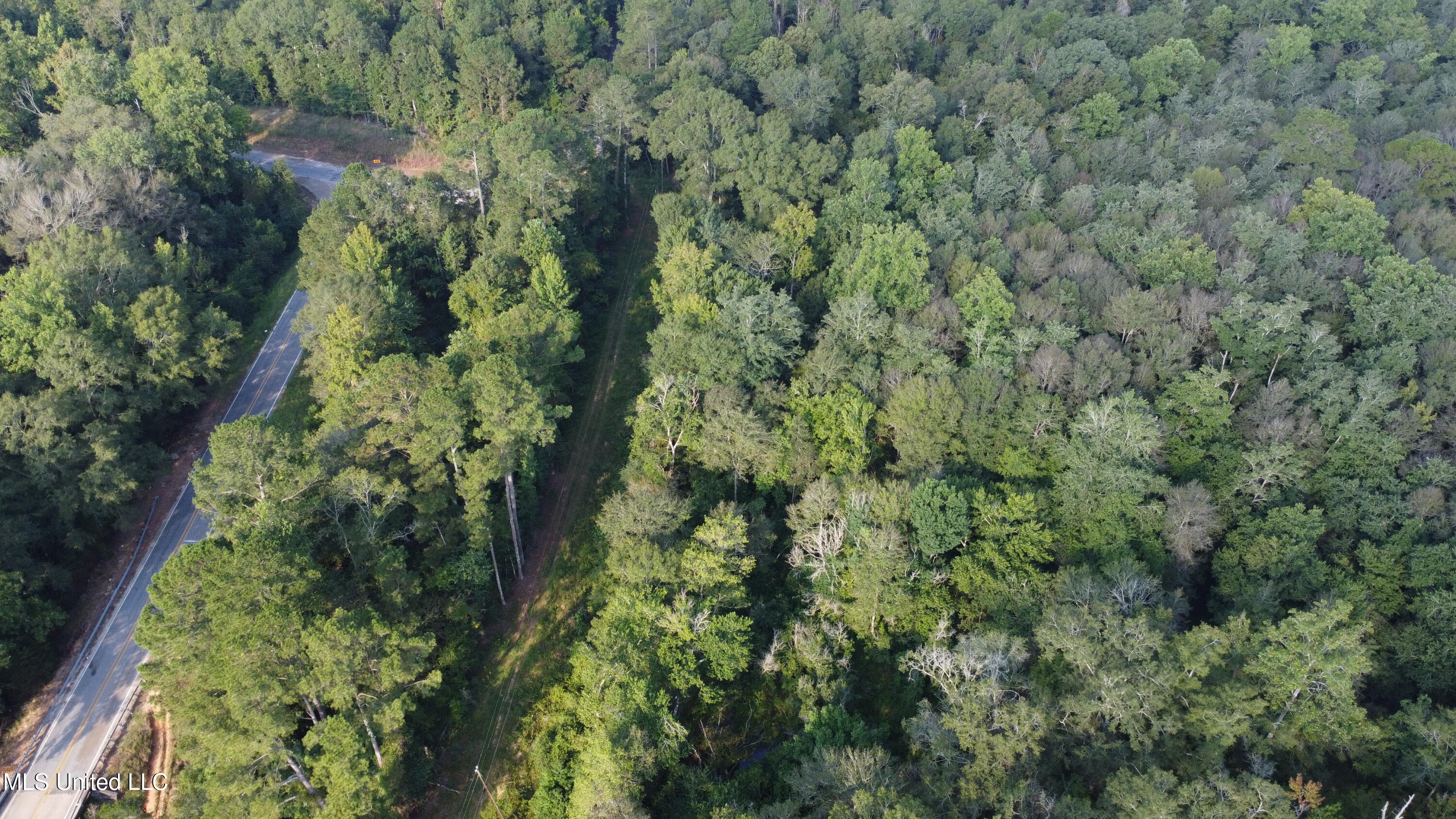 Simpson Hwy Mount Mount Olive, MS 39119 - Photo 79 of 82 DJI_0460