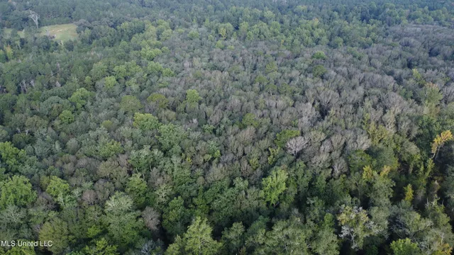 $296,000 | Simpson Hwy Mount, Mount Olive, MS 39119