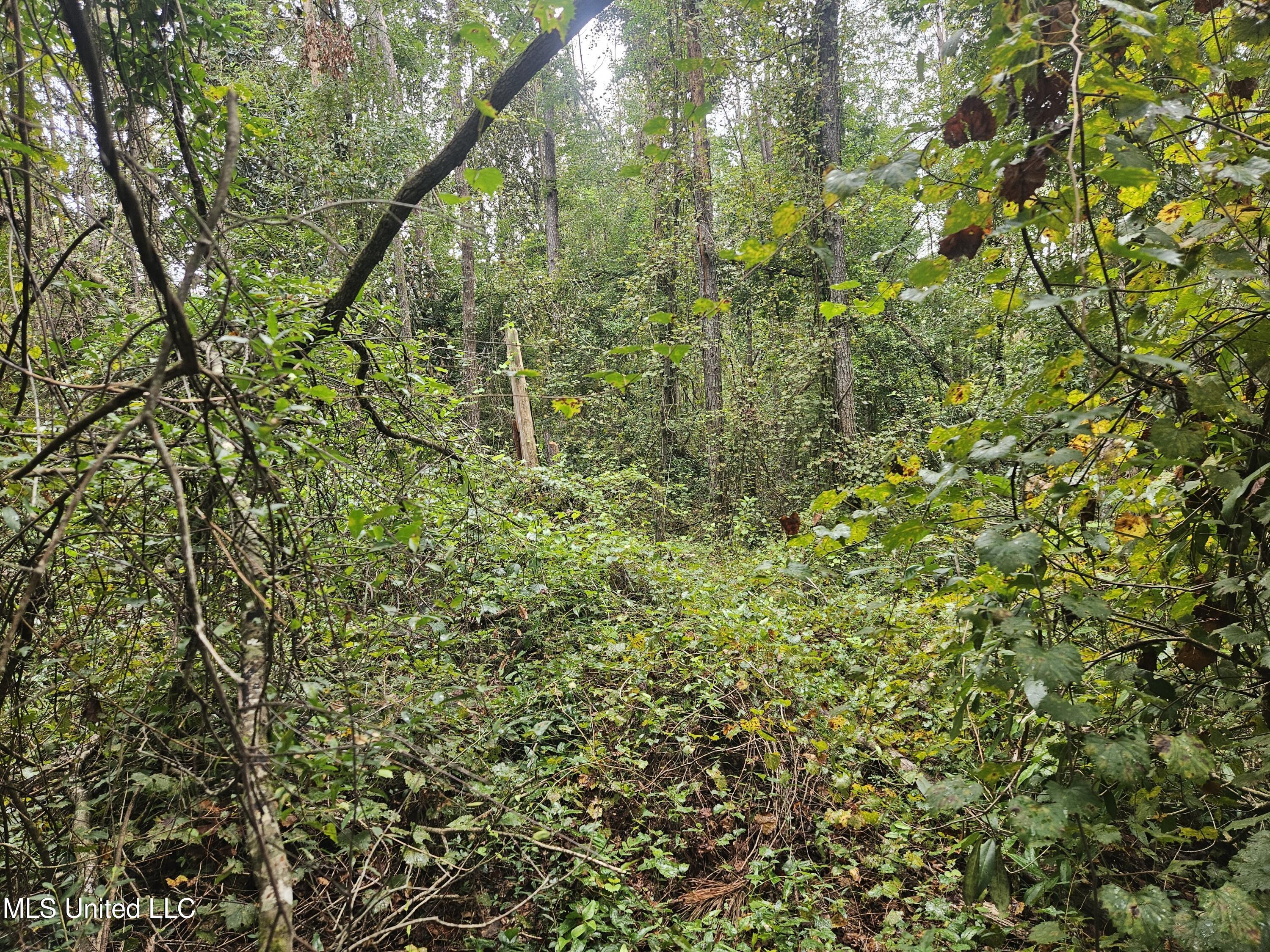 Simpson Hwy Mount Mount Olive, MS 39119 - Photo 8 of 82 20250902_092326