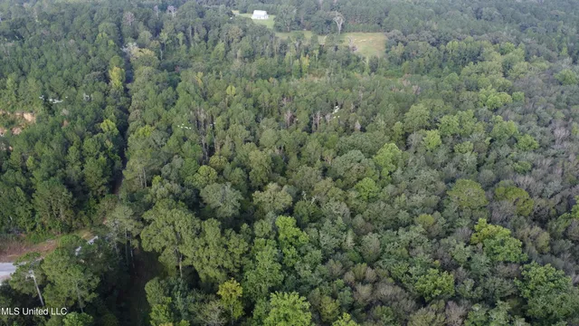 $296,000 | Simpson Hwy Mount, Mount Olive, MS 39119