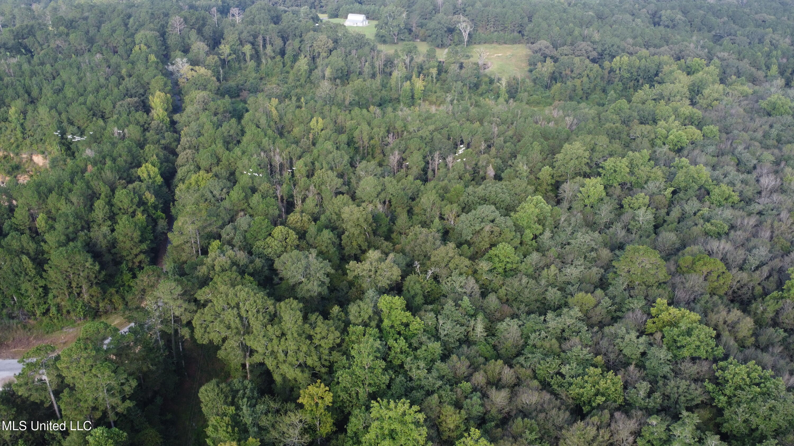 Simpson Hwy Mount Mount Olive, MS 39119 - Photo 81 of 82 DJI_0462