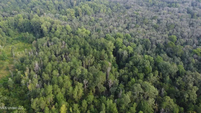 $296,000 | Simpson Hwy Mount, Mount Olive, MS 39119