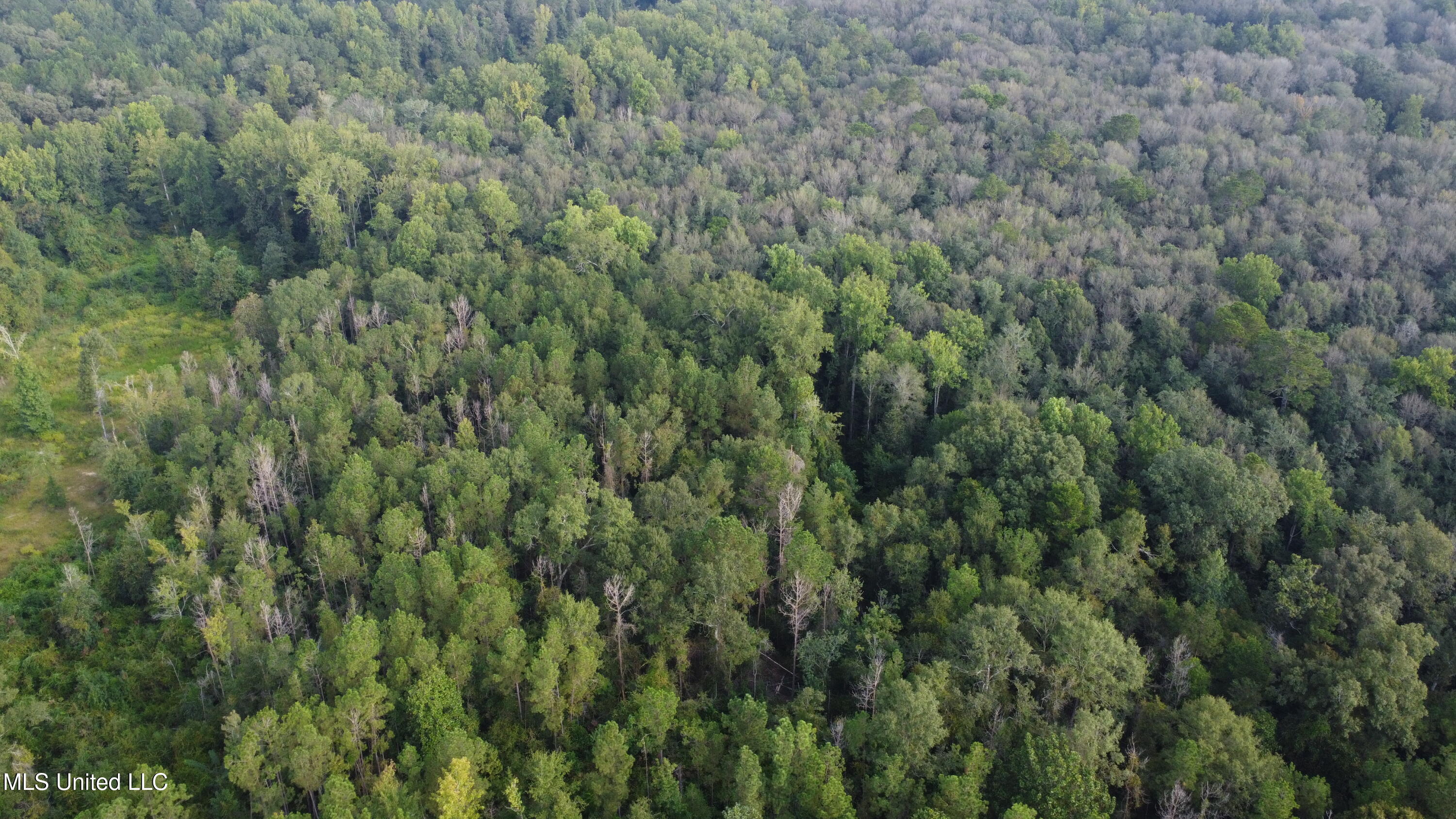 Simpson Hwy Mount Mount Olive, MS 39119 - Photo 82 of 82 DJI_0463