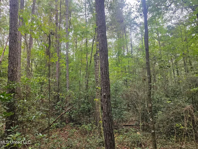 $296,000 | Simpson Hwy Mount, Mount Olive, MS 39119