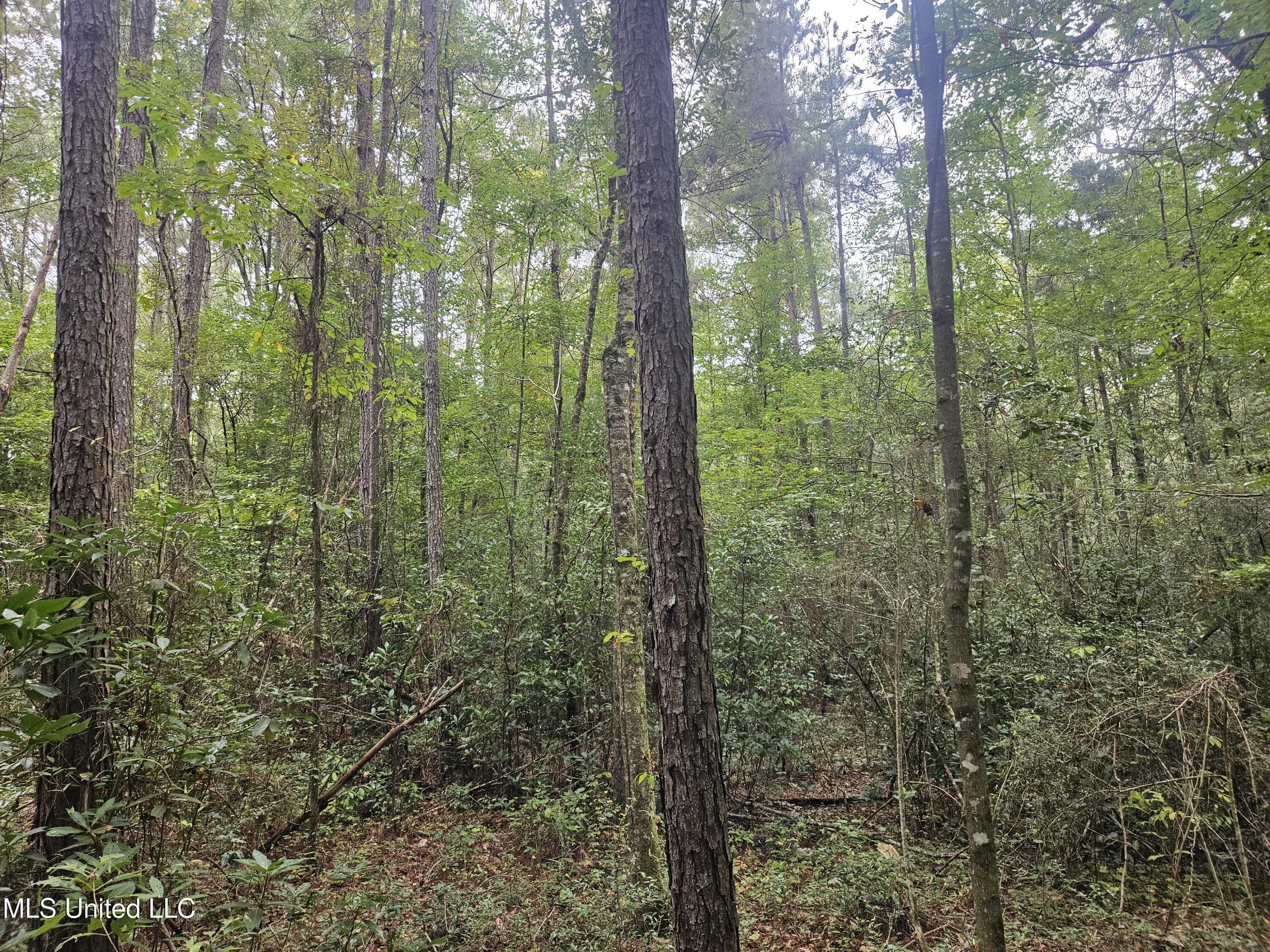 Simpson Hwy Mount Mount Olive, MS 39119 - Photo 10 of 82 20250902_092452