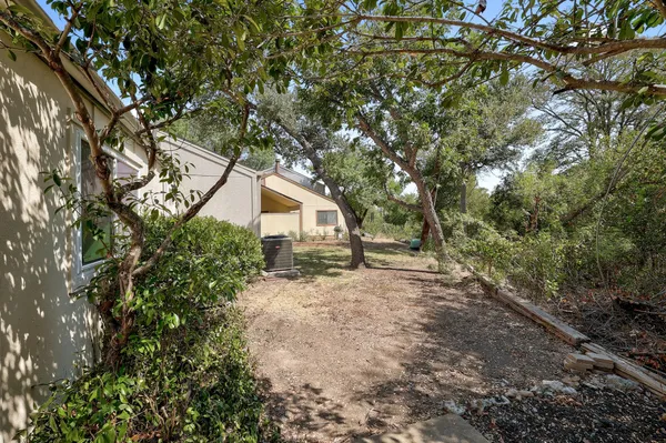 a view of a outdoor space with a tree