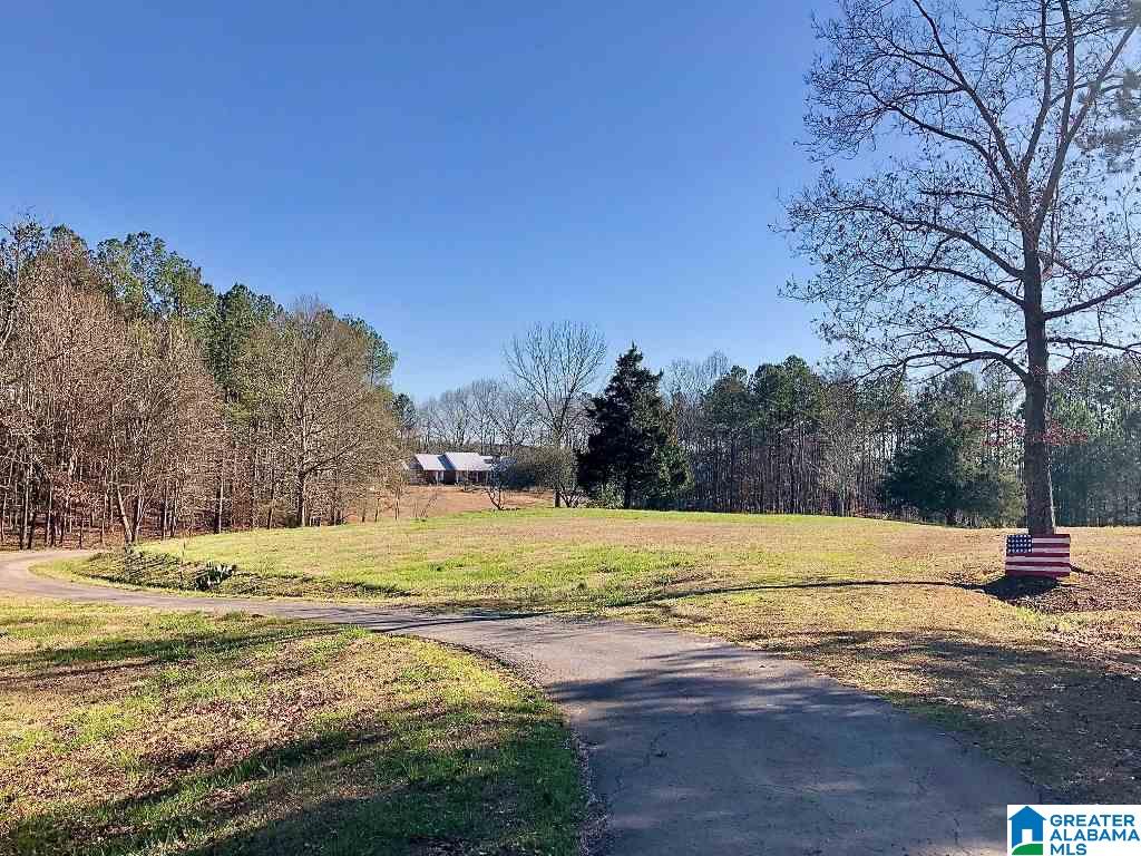 862 County Road 56 Wedowee, AL 36278 - Photo 2 of 25