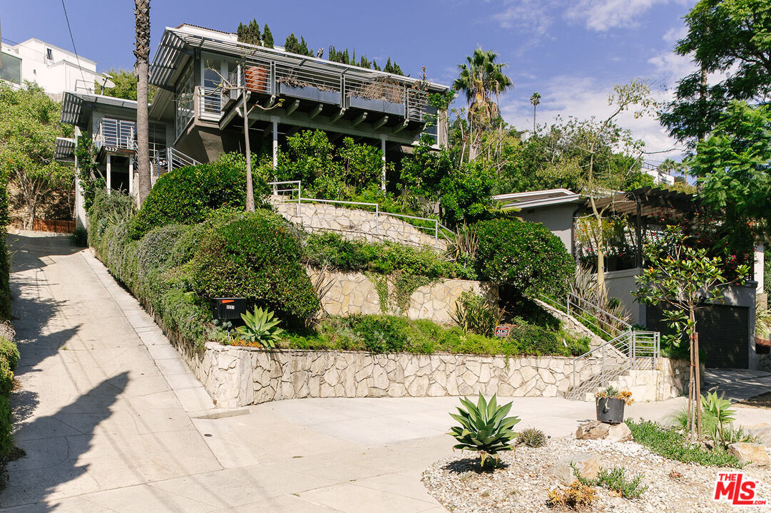 a view of a garden with plants