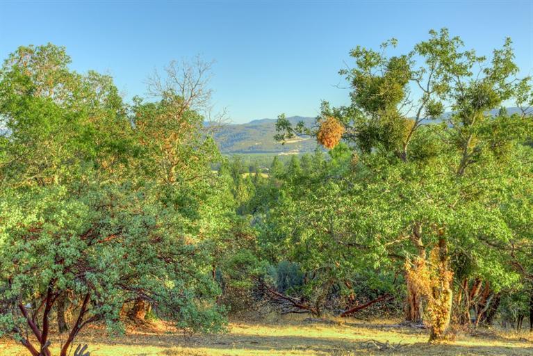 2388 Old Military Road Central Point, OR 97502 - Photo 9 of 35 Additional Photo