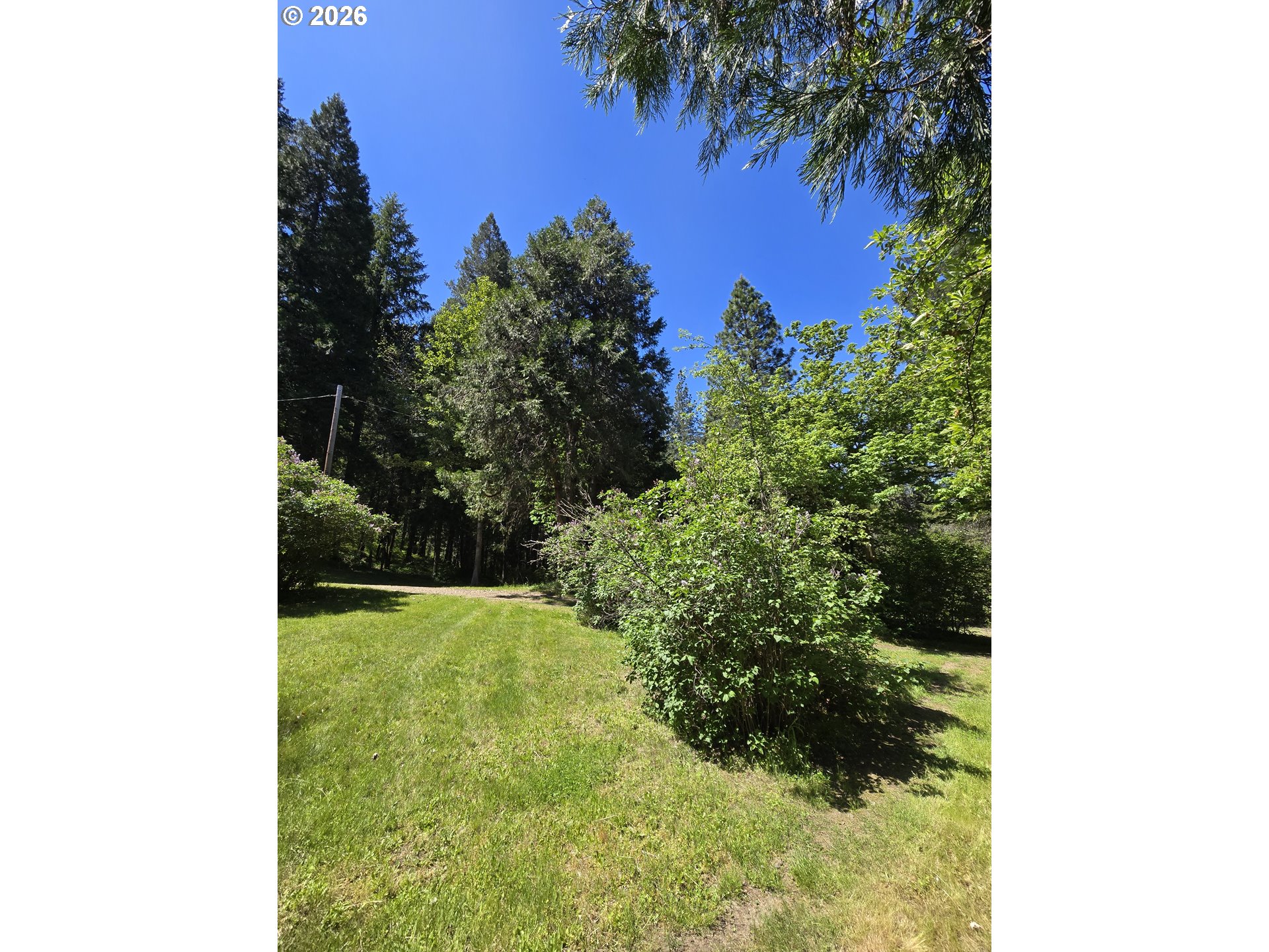 2505 Windy Creek Road Glendale, OR 97442 - Photo 22 of 39