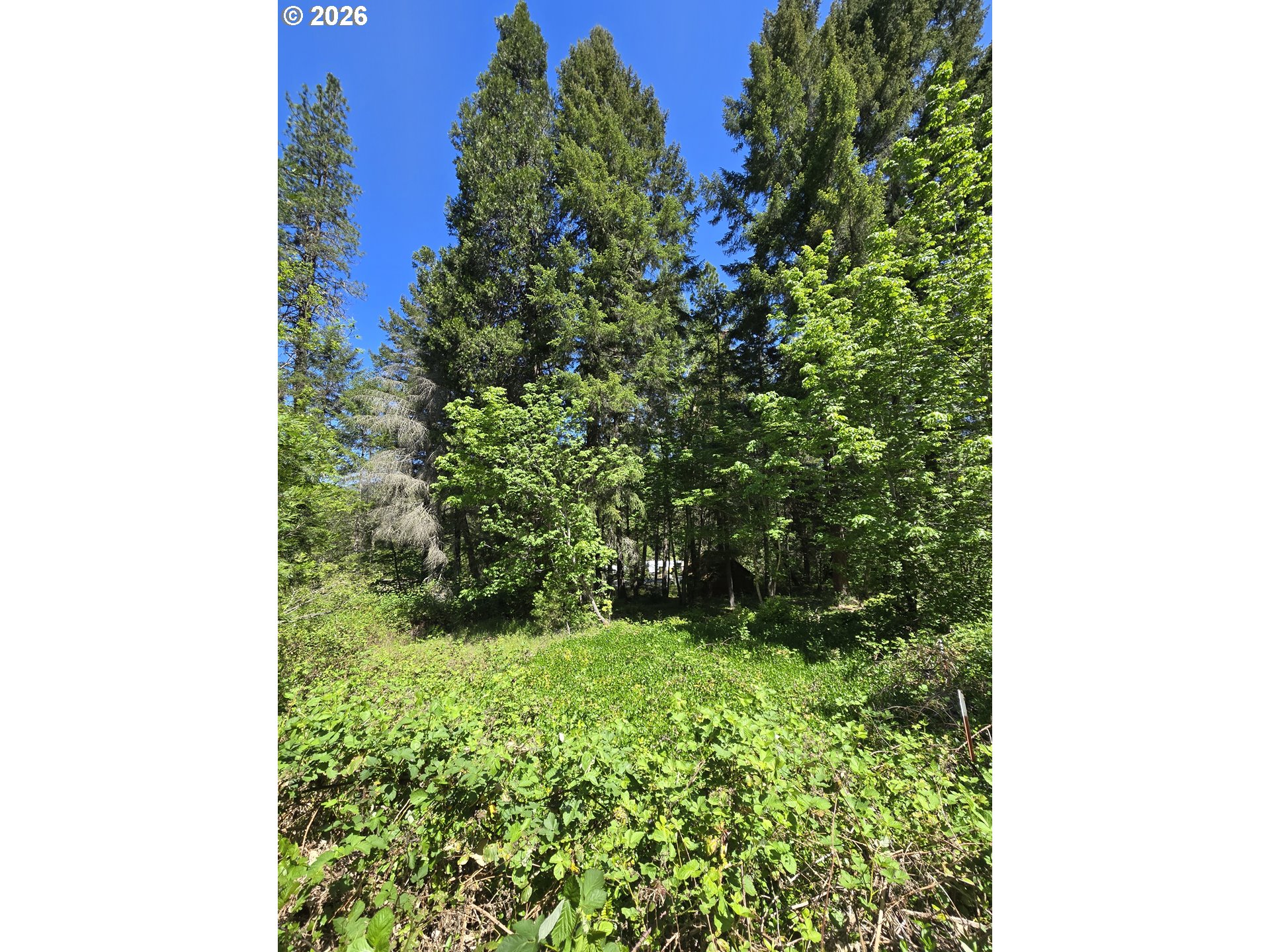 2505 Windy Creek Road Glendale, OR 97442 - Photo 23 of 39
