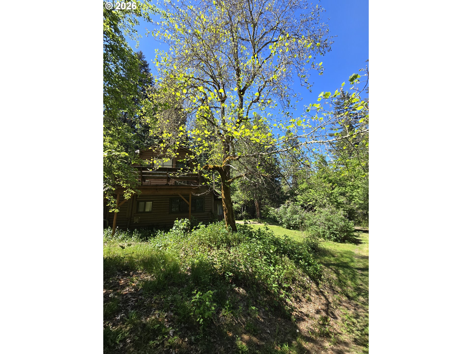 2505 Windy Creek Road Glendale, OR 97442 - Photo 24 of 39