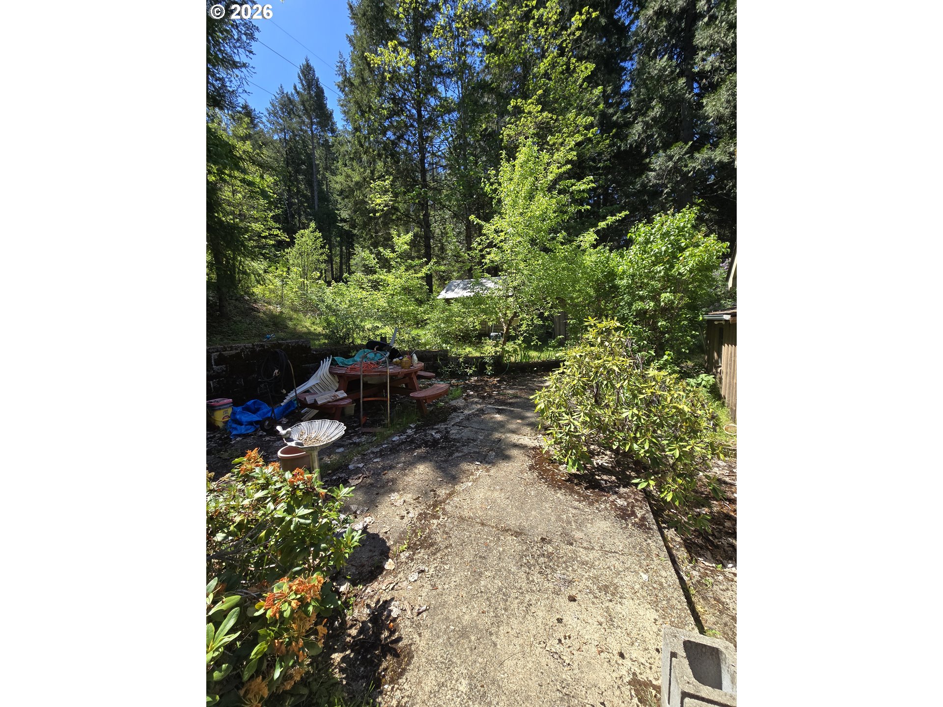 2505 Windy Creek Road Glendale, OR 97442 - Photo 30 of 39
