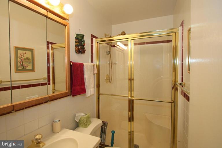 6532 East Halbert Road Bethesda, MD 20817 - Photo 8 of 9 Master Bath