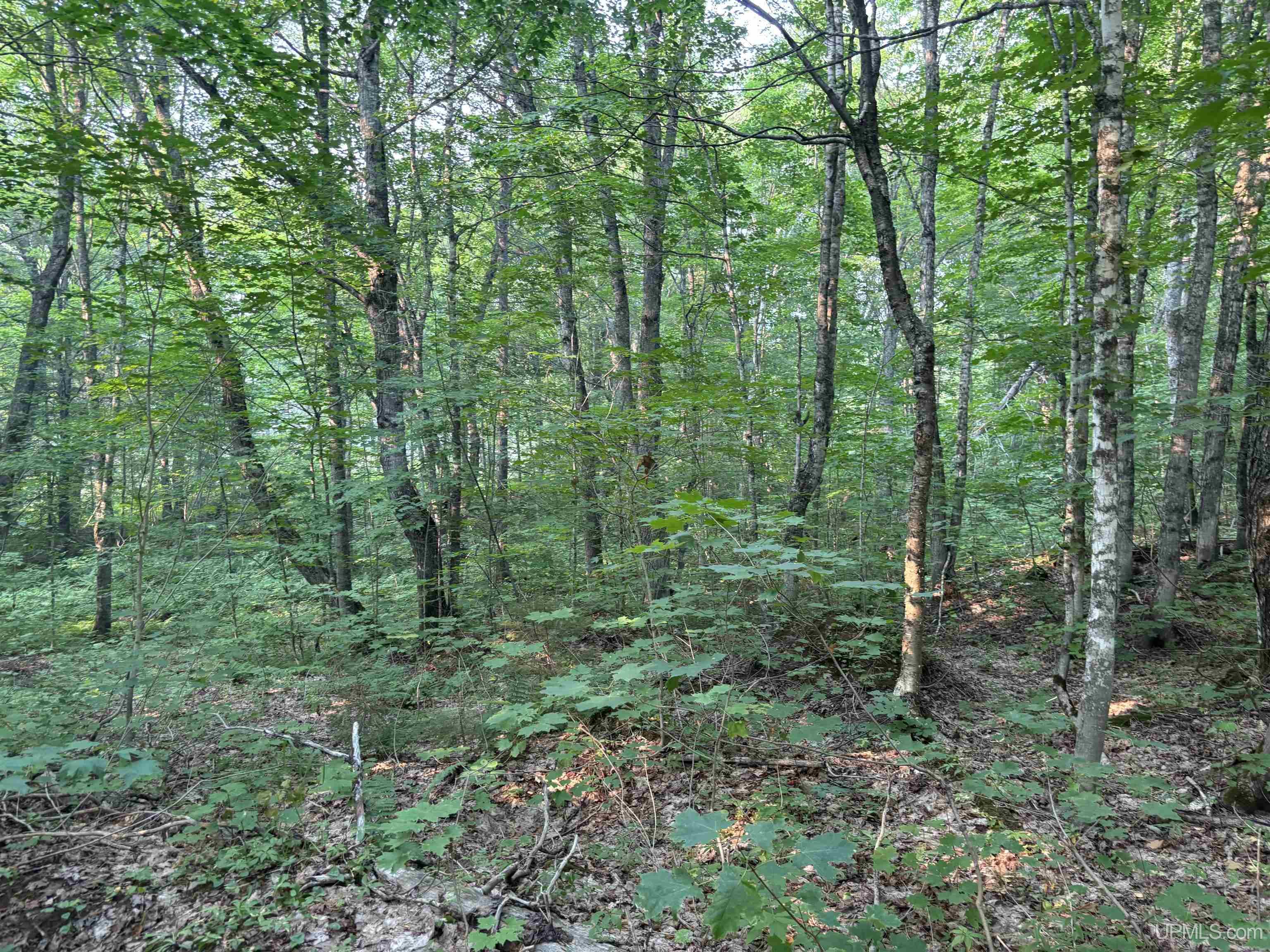 Tbd South Mandan Road Copper Harbor, MI 49918 - Photo 16 of 17 Gallery Image 16
