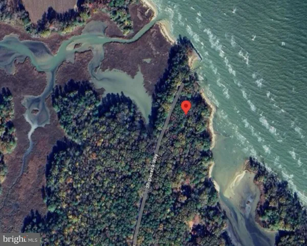 a view of outside plants and covered with water fountain