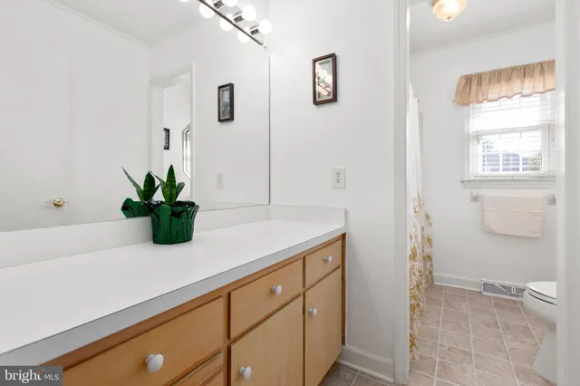 a bathroom with a sink a toilet and a mirror