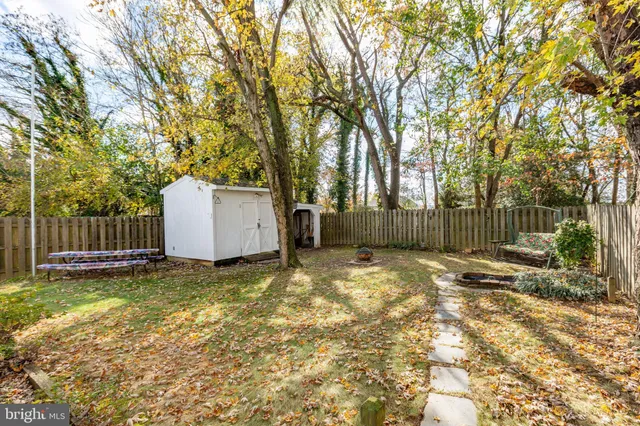 a view of a backyard with a tree