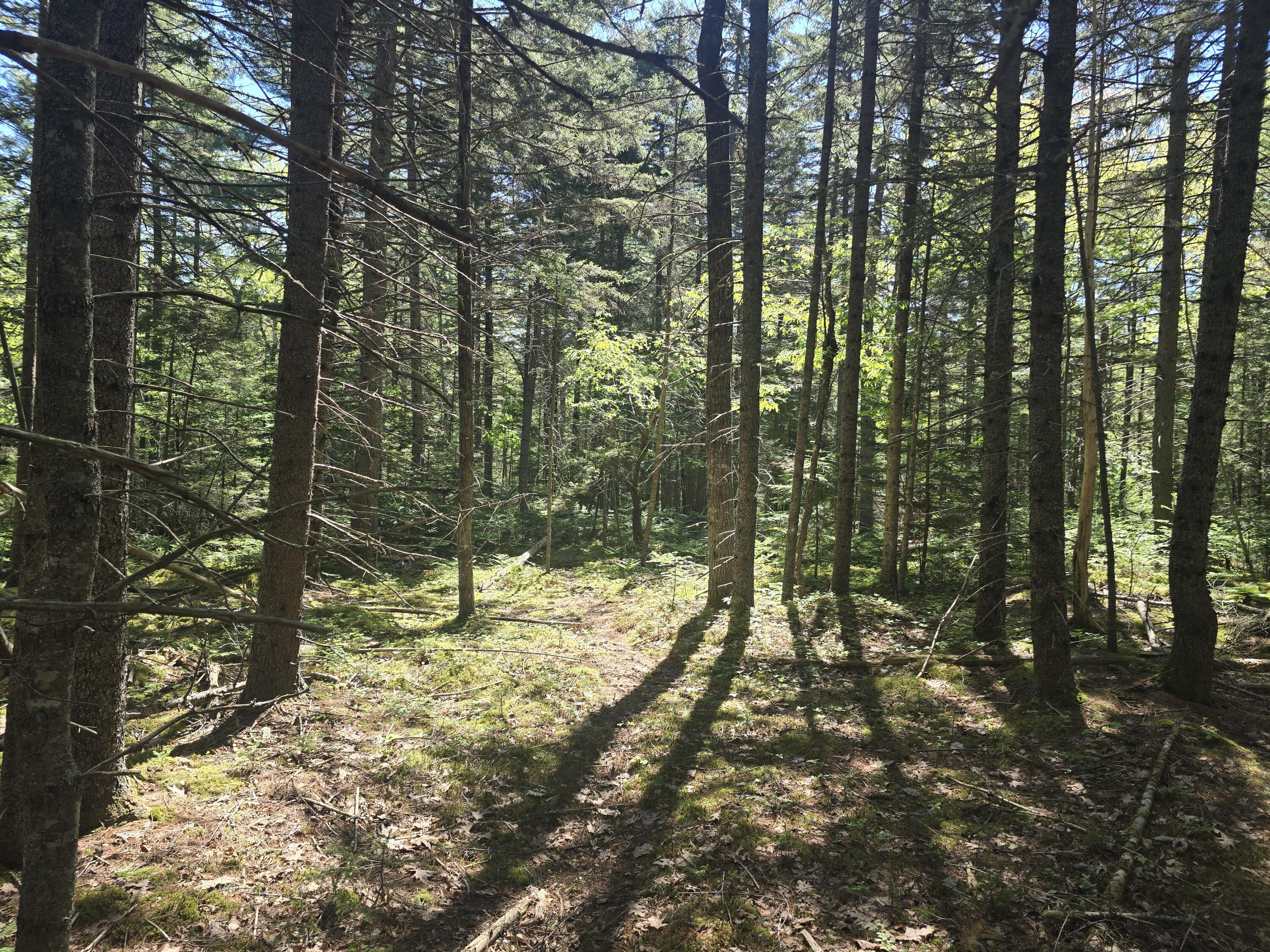 0 Boothbay Road Edgecomb, ME 04556 - Photo 12 of 20 20260603_103217