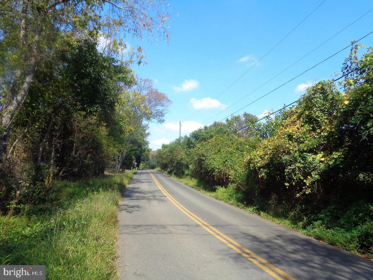 Street View From Lot