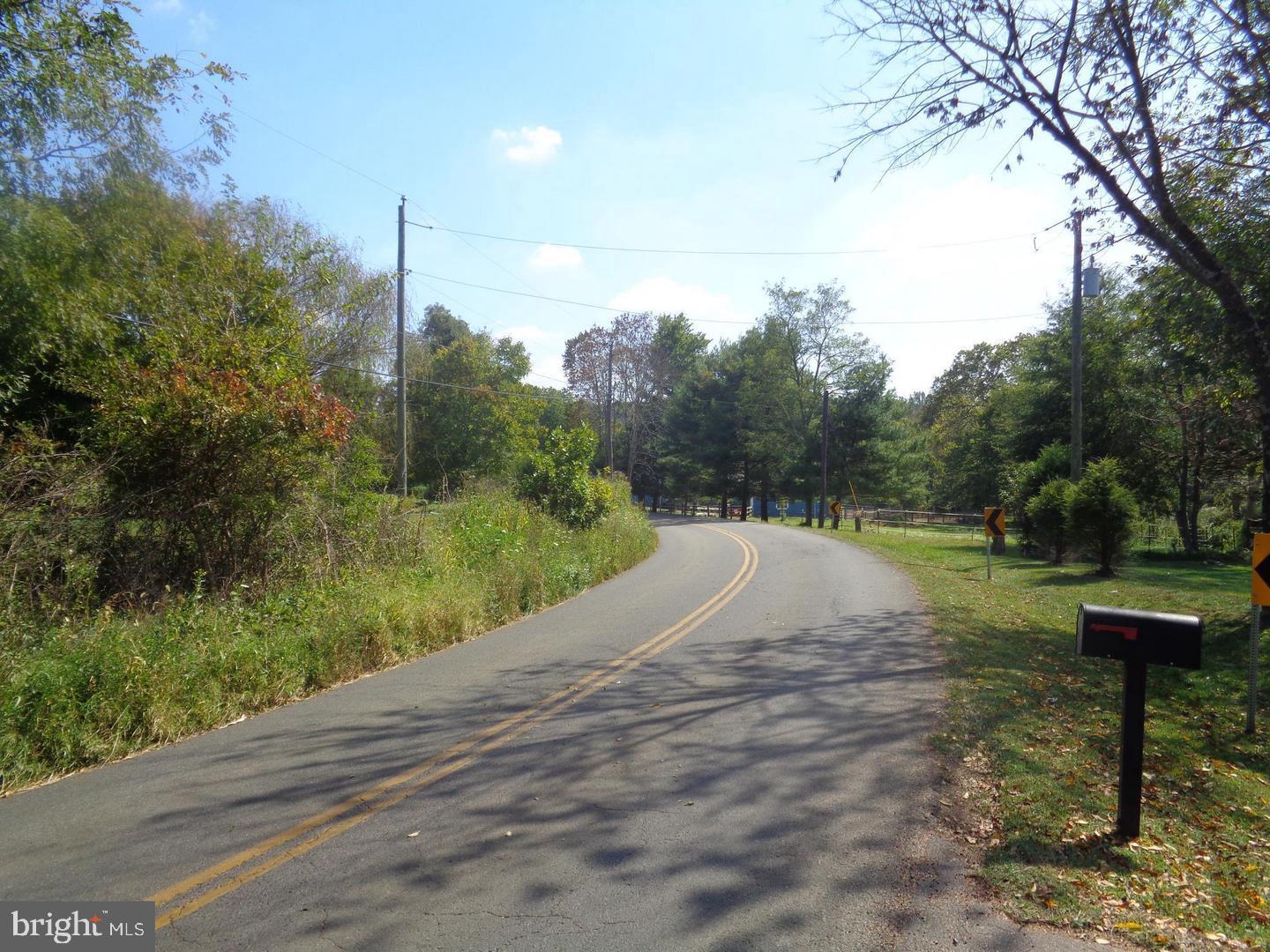 Street View From Lot