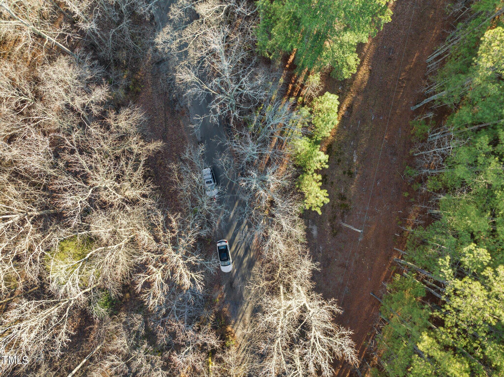 0 Horseshoe Road Creedmoor, NC 27522 - Photo 13 of 32 a plant that is in middle of the forest