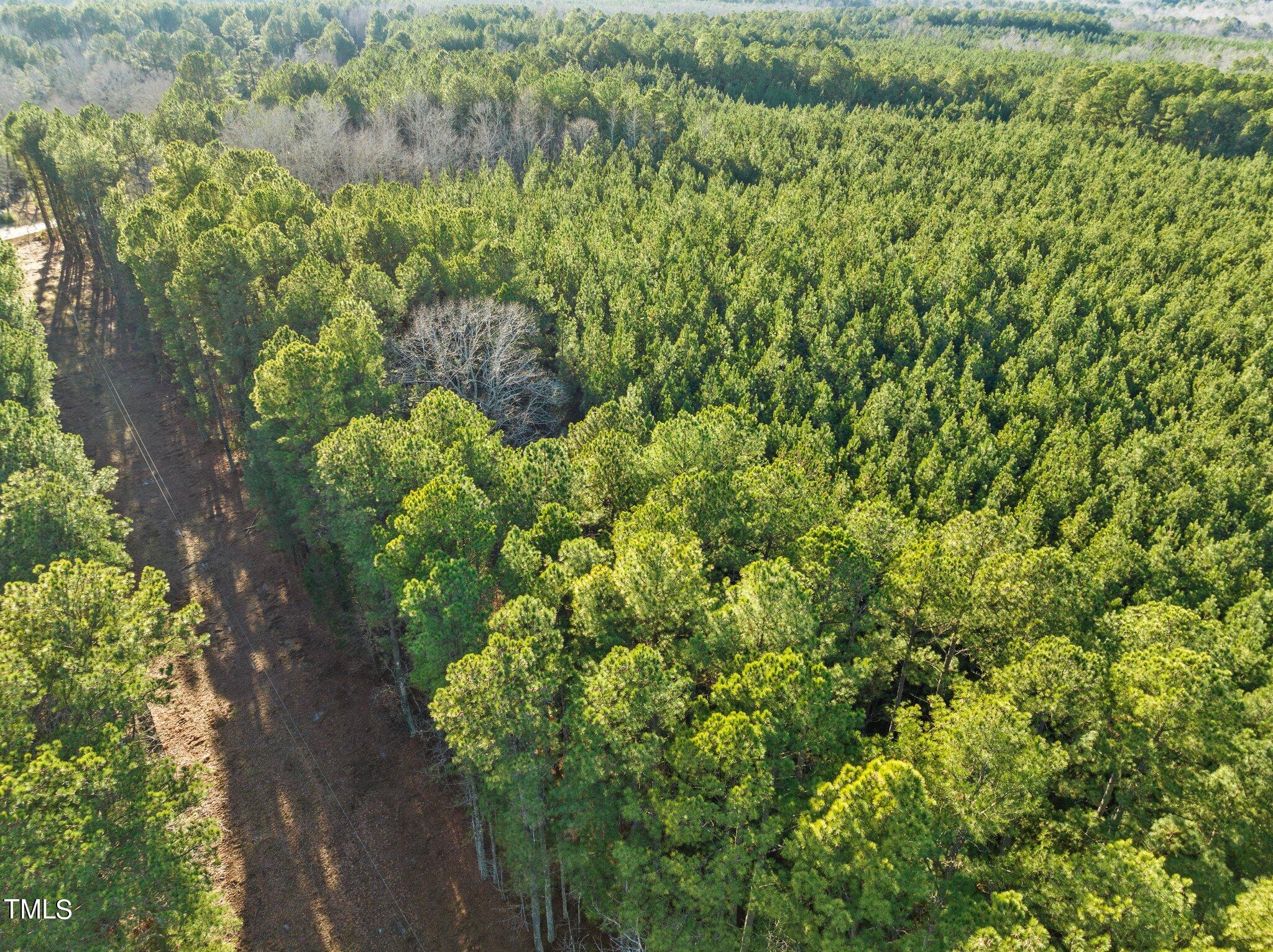 0 Horseshoe Road Creedmoor, NC 27522 - Photo 16 of 32 a view of a plants