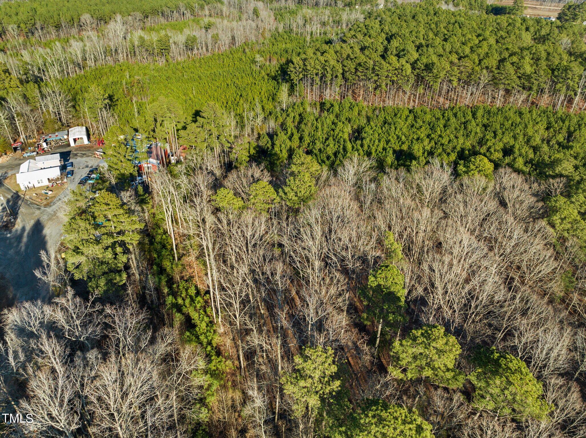 0 Horseshoe Road Creedmoor, NC 27522 - Photo 17 of 32 a view of a bunch of plants and trees