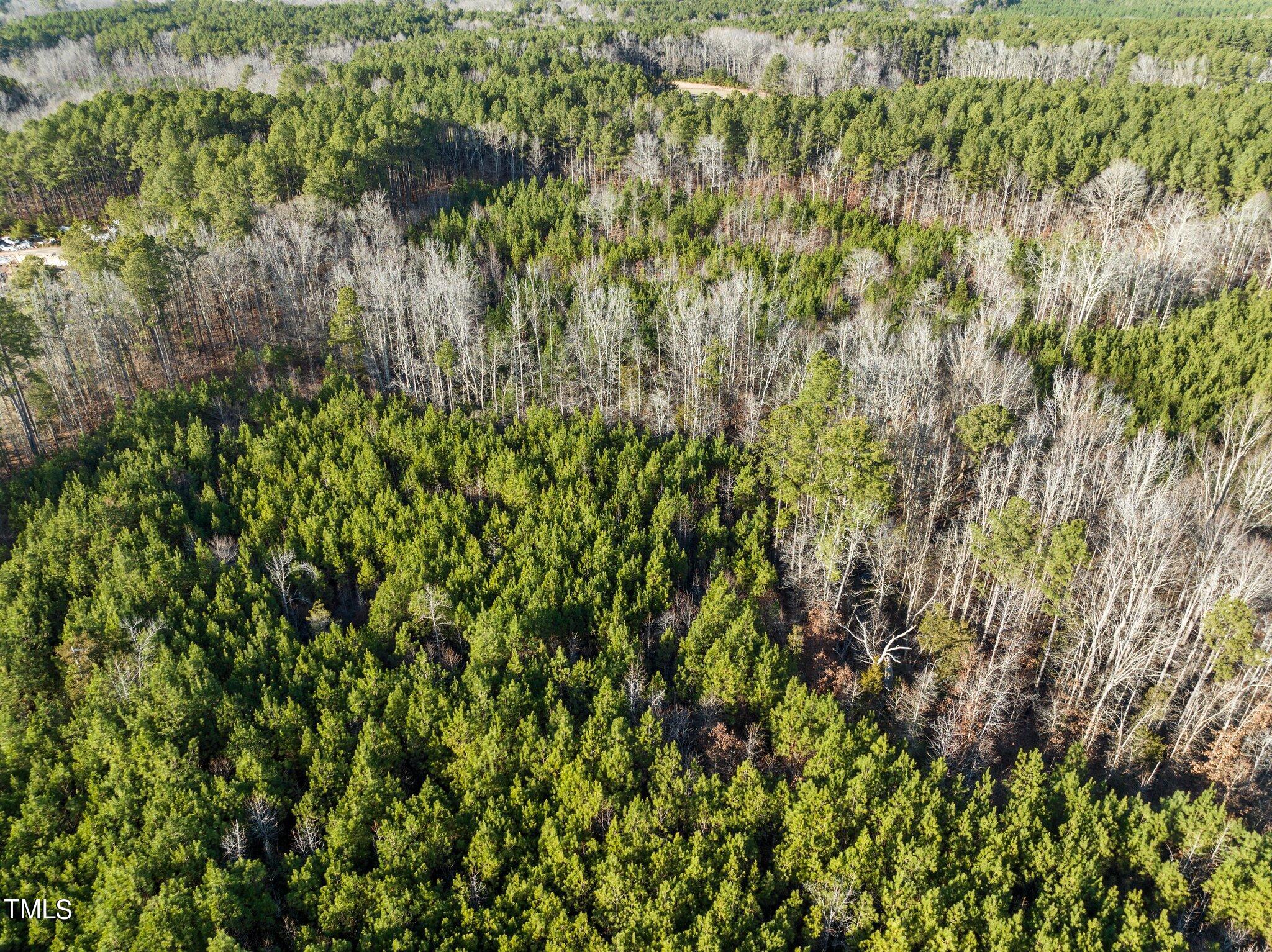 0 Horseshoe Road Creedmoor, NC 27522 - Photo 20 of 32 a view of a lush green forest