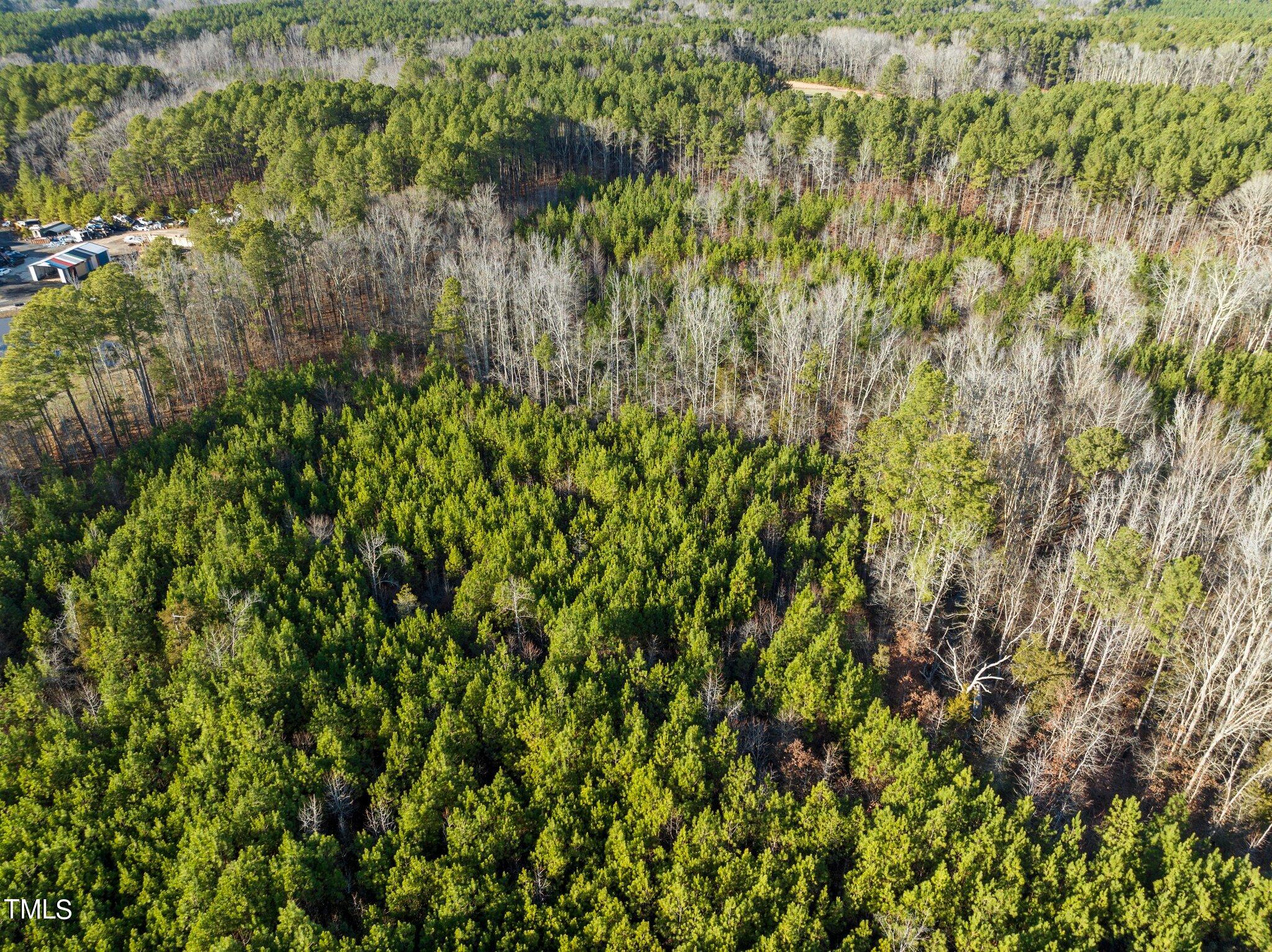 0 Horseshoe Road Creedmoor, NC 27522 - Photo 21 of 32 a view of a lush green forest