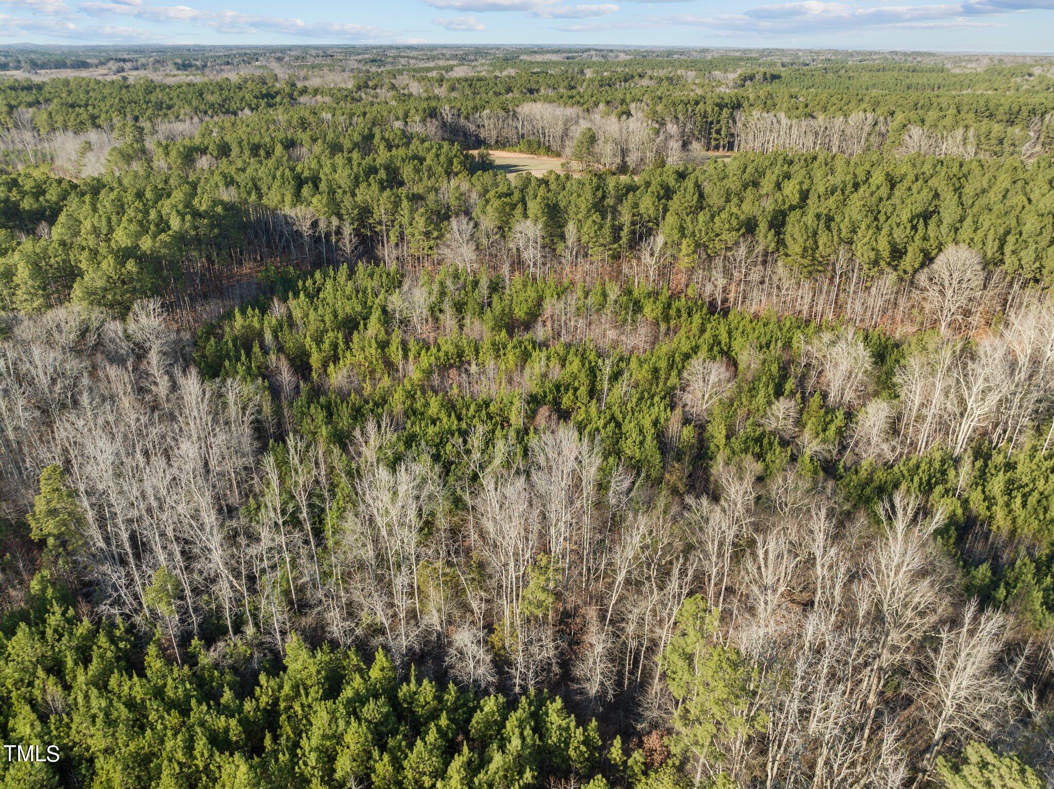0 Horseshoe Road Creedmoor, NC 27522 - Photo 22 of 32 a view of a field with a lush green forest