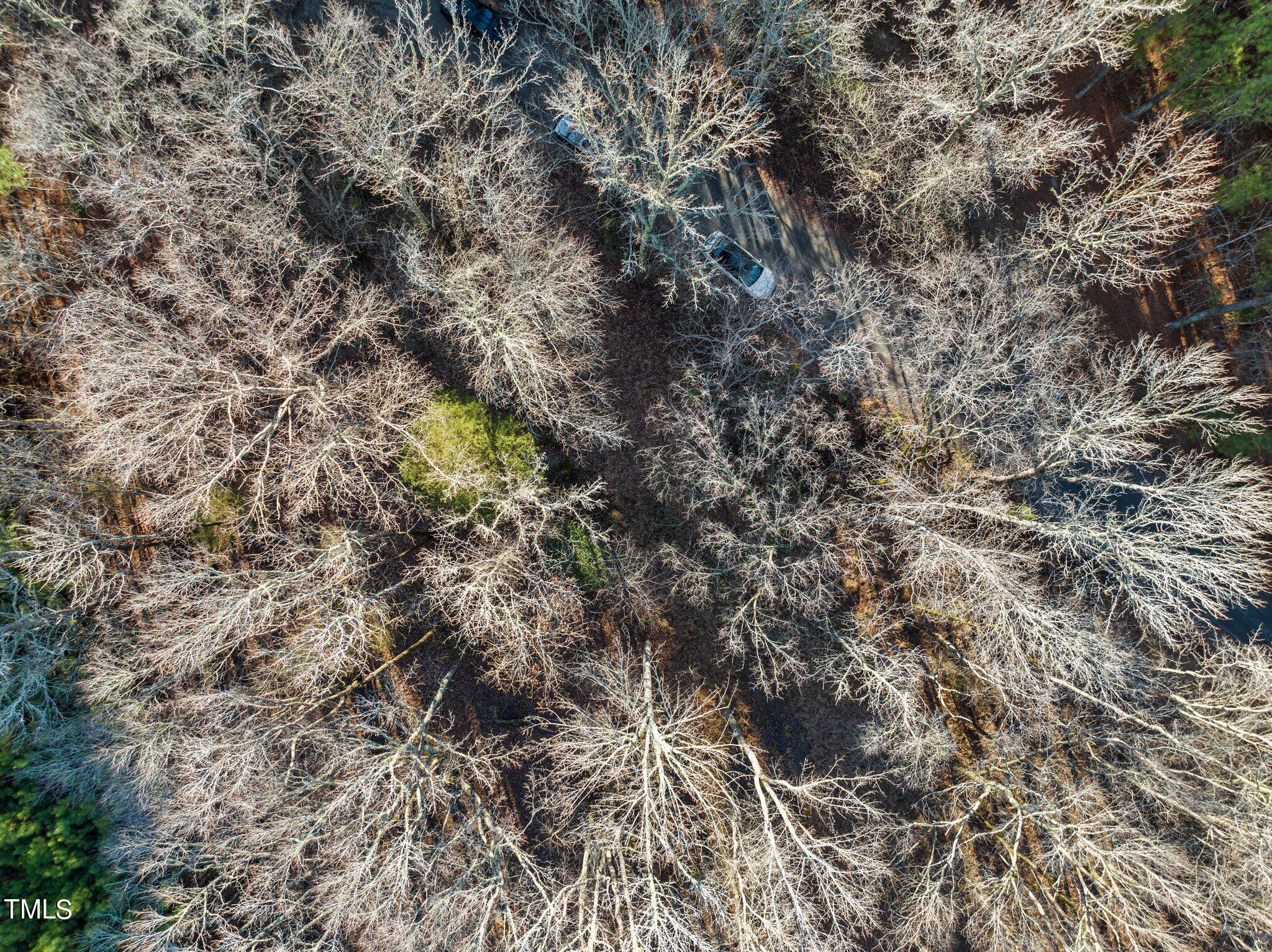 0 Horseshoe Road Creedmoor, NC 27522 - Photo 27 of 32 a view of a field