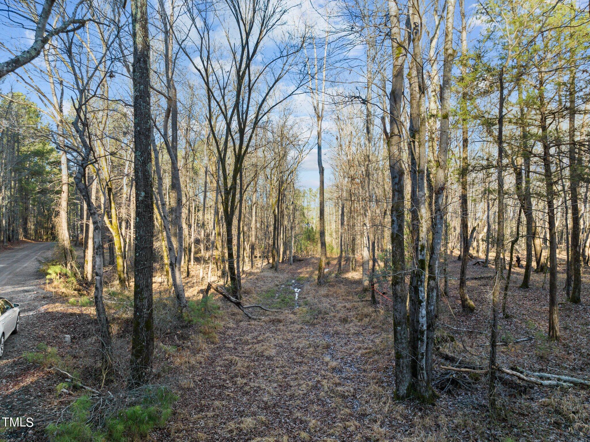 0 Horseshoe Road Creedmoor, NC 27522 - Photo 28 of 32 a backyard of a house with lots of green space