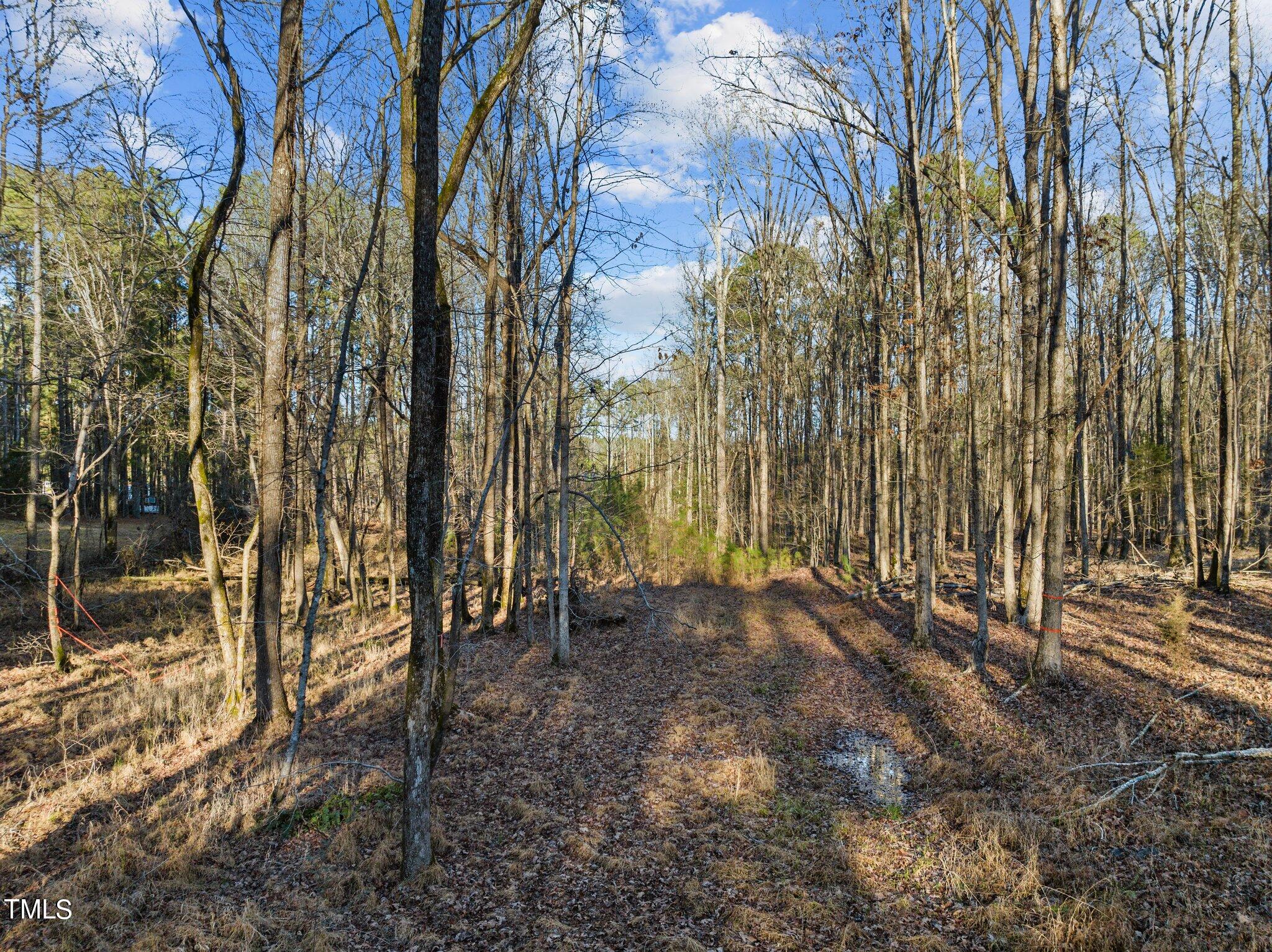 0 Horseshoe Road Creedmoor, NC 27522 - Photo 29 of 32 a view of backyard with green space