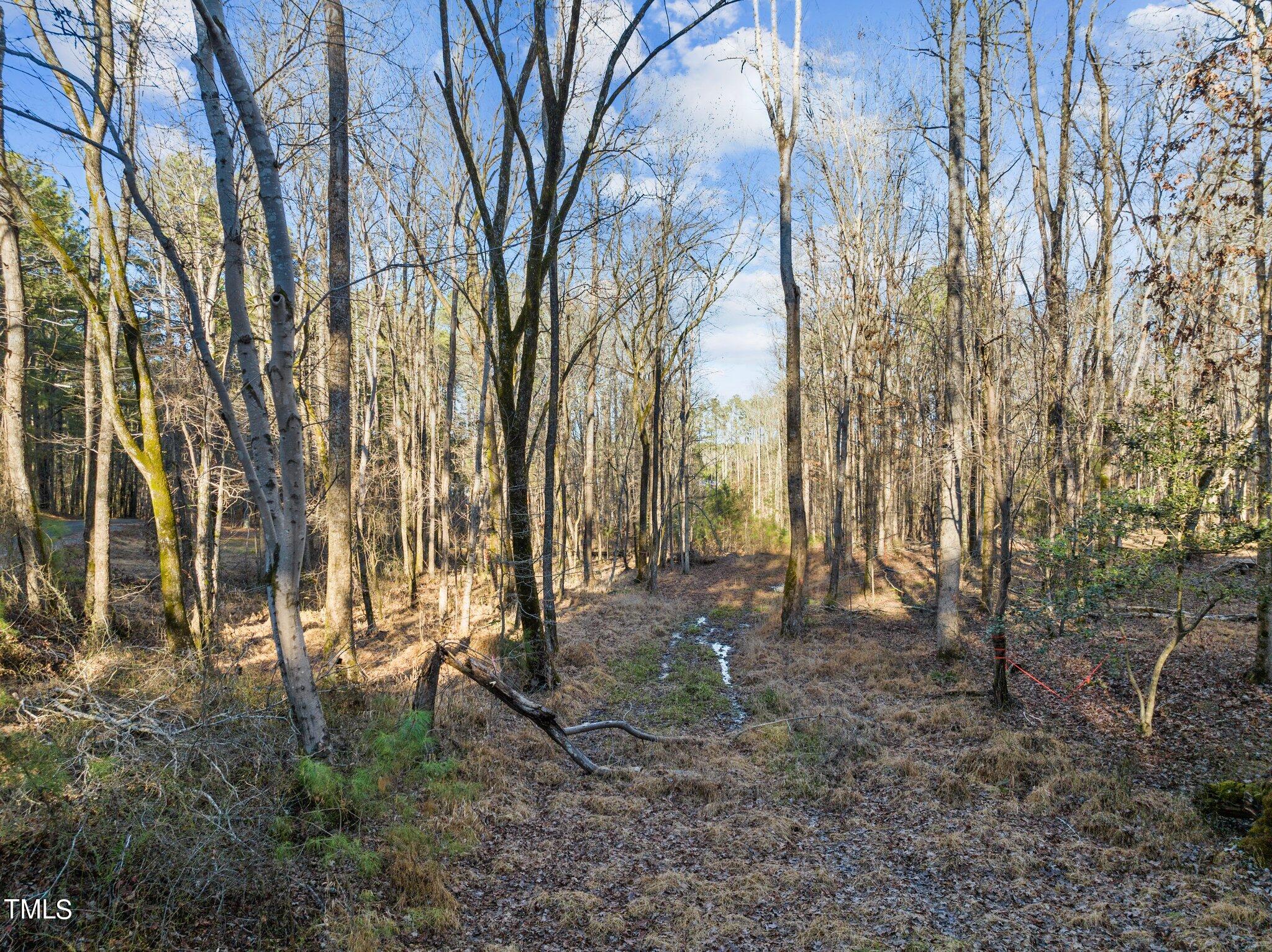 0 Horseshoe Road Creedmoor, NC 27522 - Photo 8 of 32 a backyard of a house with lots of green space