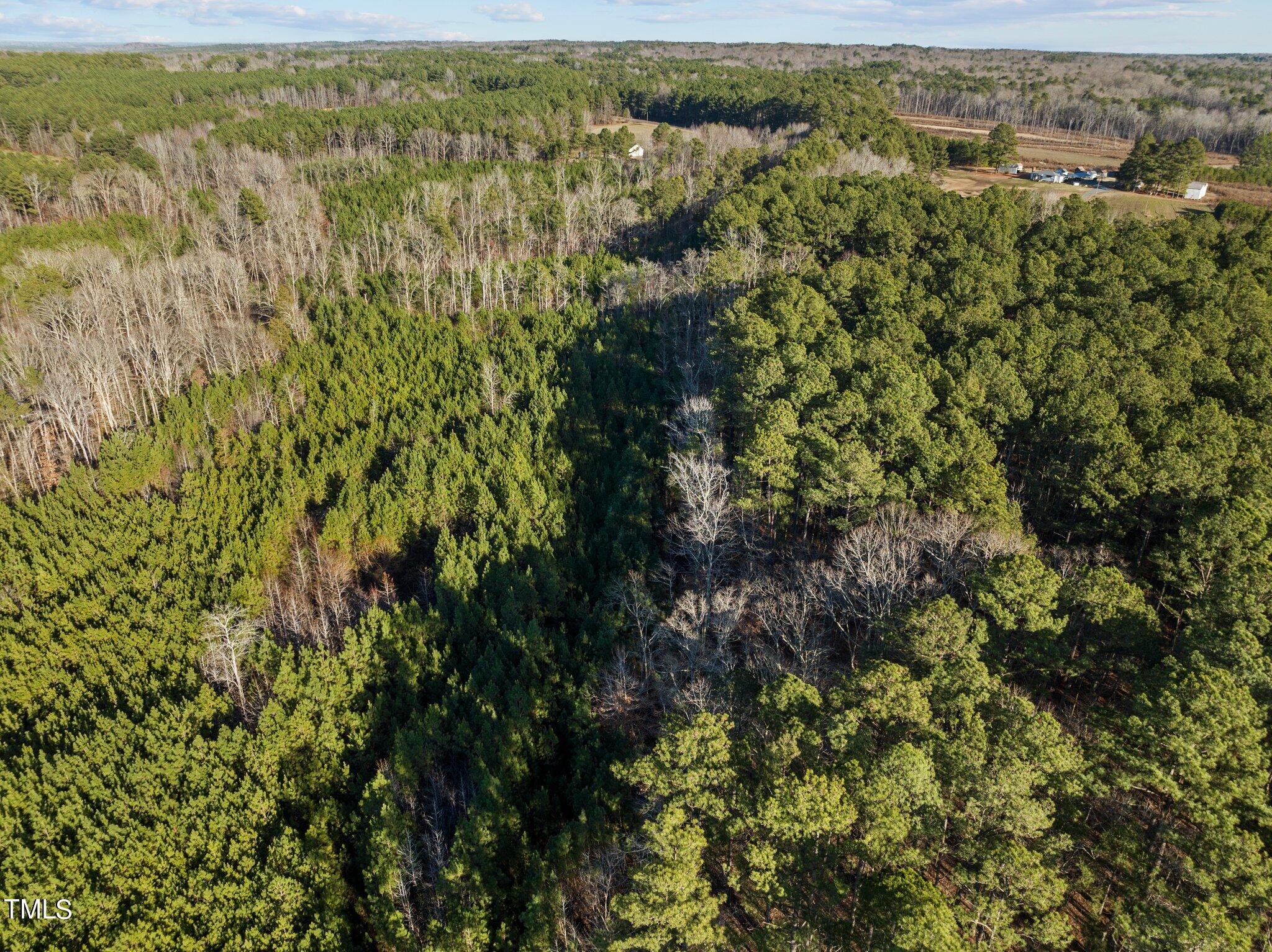 0 Horseshoe Road Creedmoor, NC 27522 - Photo 10 of 32 an aerial view of residential houses with outdoor space and trees