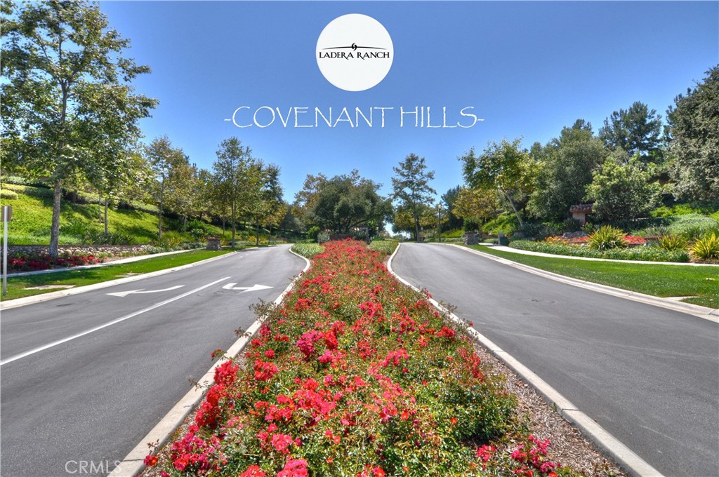 15 Pisano Street Ladera Ranch, CA 92694 - Photo 61 of 73 a view of a bunch of flowers and trees