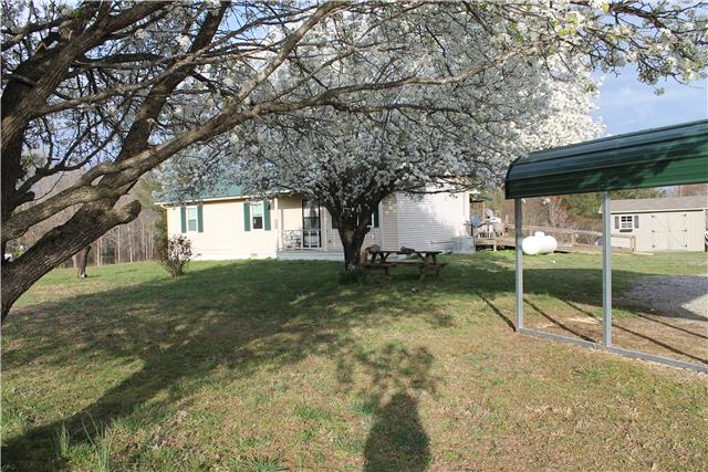1463 Napier Road Hohenwald, TN 38462 - Photo 13 of 15 FRONT YARD WITH TALL MATURE TREES