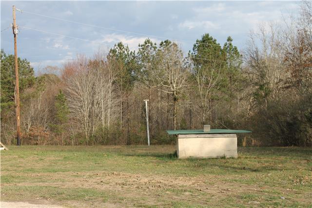 1463 Napier Road Hohenwald, TN 38462 - Photo 15 of 15 NEW WELL AND PUMP