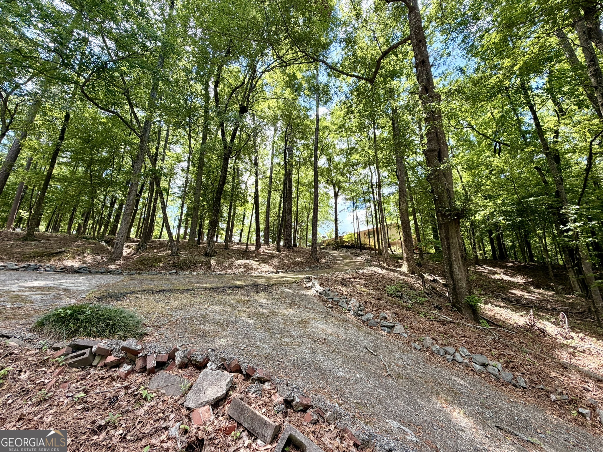 213 Stembridge Road Southeast Milledgeville, GA 31061 - Photo 51 of 83 a view of backyard with green space