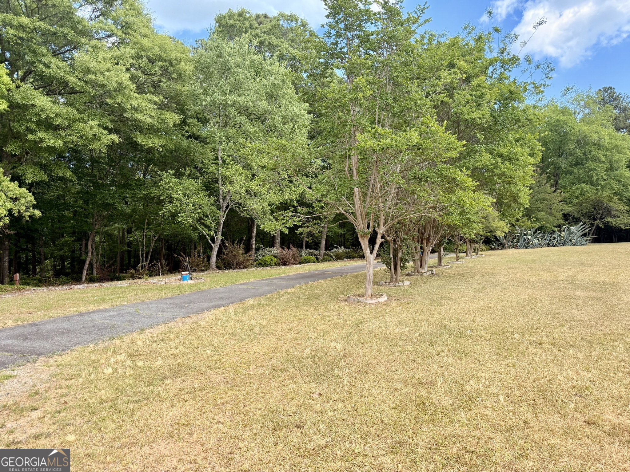 213 Stembridge Road Southeast Milledgeville, GA 31061 - Photo 57 of 83 a view of yard with trees