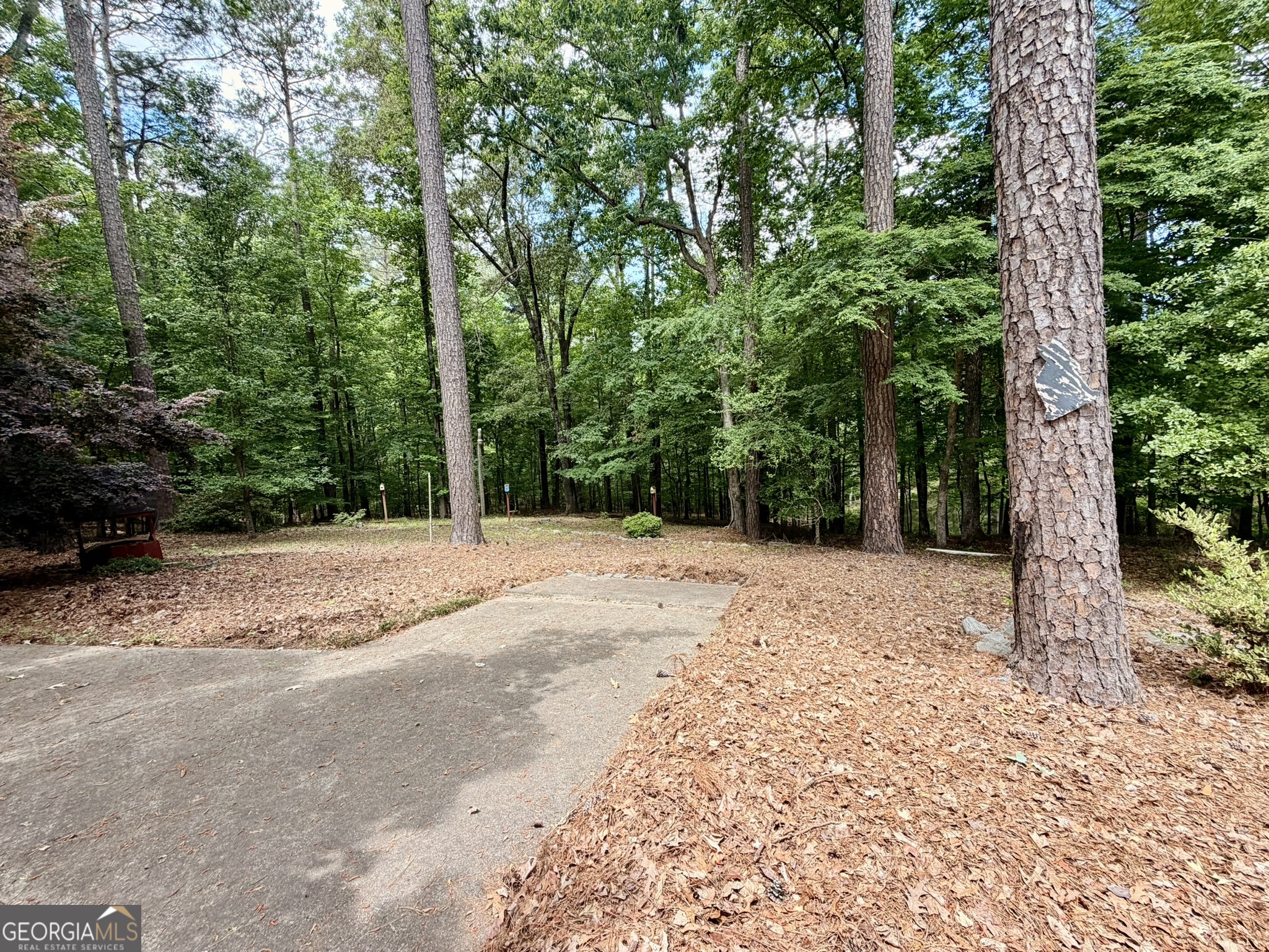 213 Stembridge Road Southeast Milledgeville, GA 31061 - Photo 69 of 83 a view of a yard with plants and trees