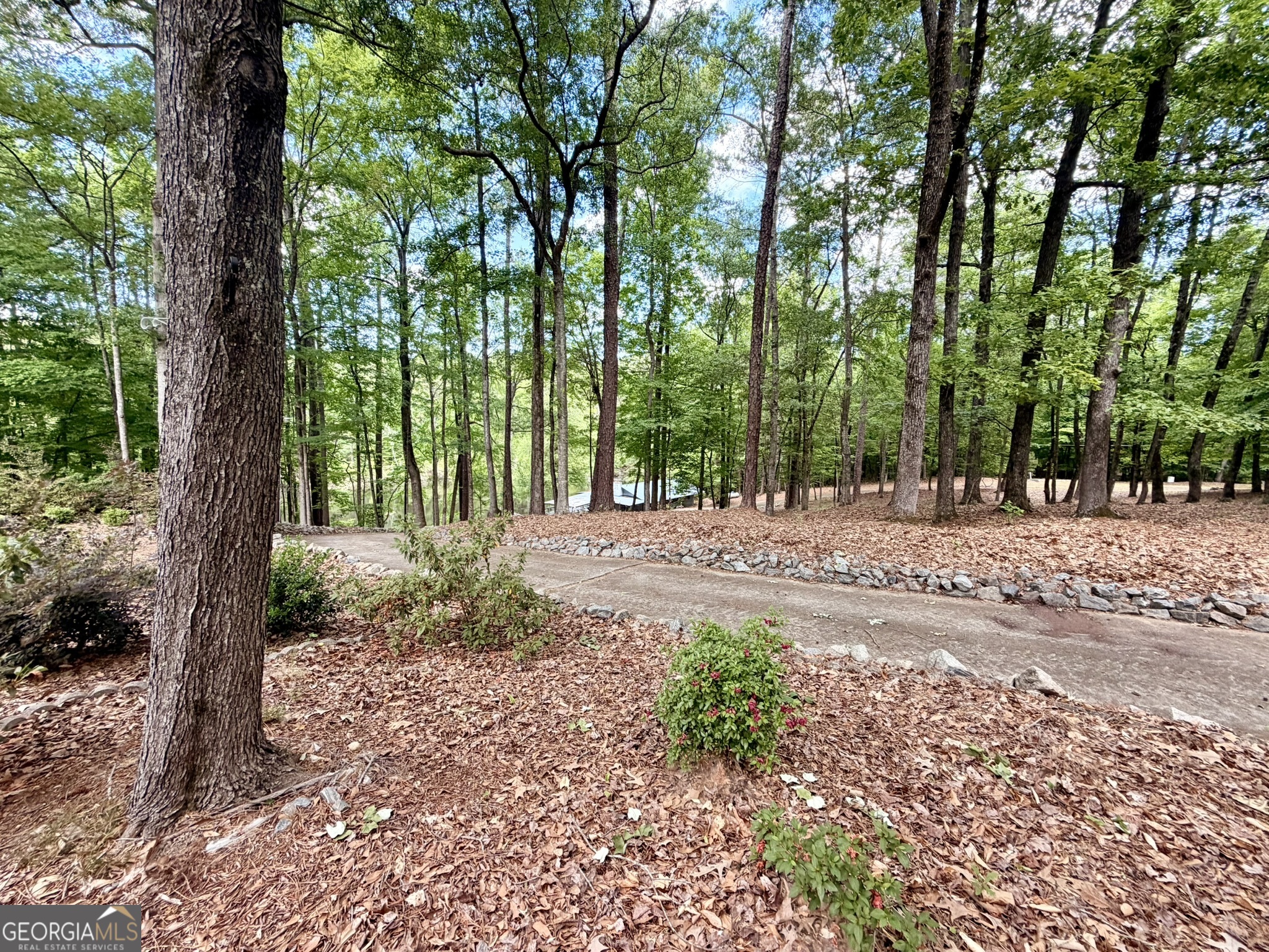 213 Stembridge Road Southeast Milledgeville, GA 31061 - Photo 75 of 83 a view of backyard with trees