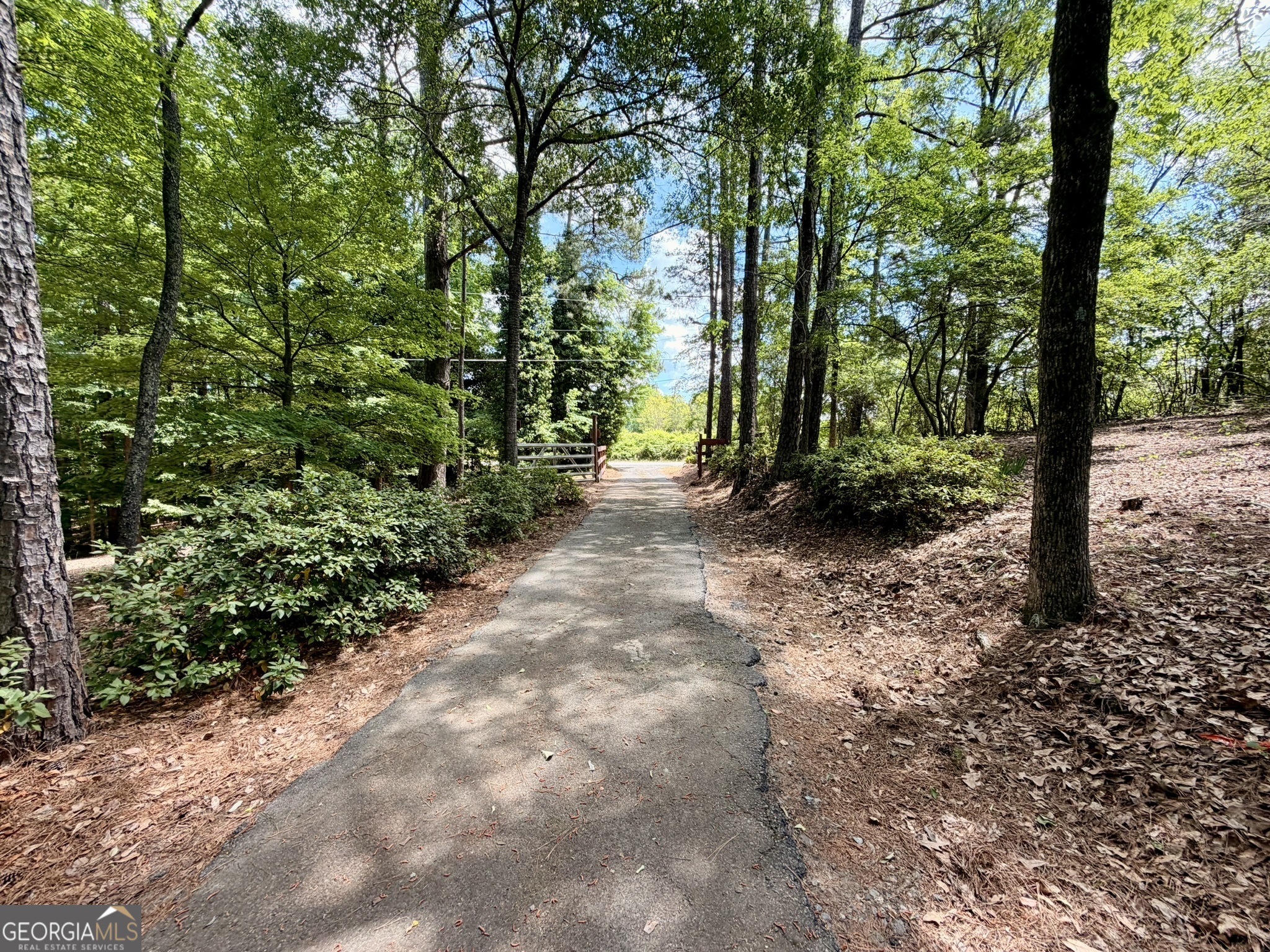 213 Stembridge Road Southeast Milledgeville, GA 31061 - Photo 78 of 83 a view of a trees with plants and a trees