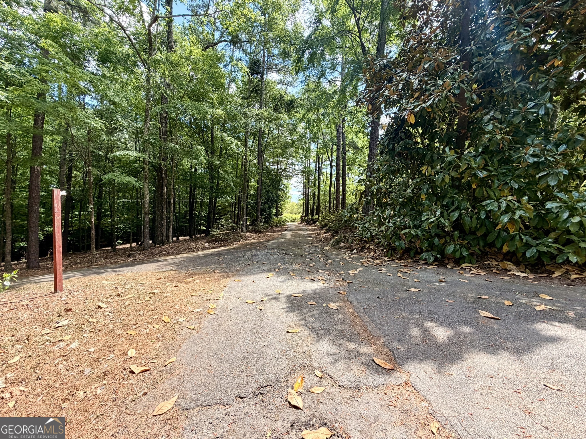 213 Stembridge Road Southeast Milledgeville, GA 31061 - Photo 83 of 83 a view of backyard with green space