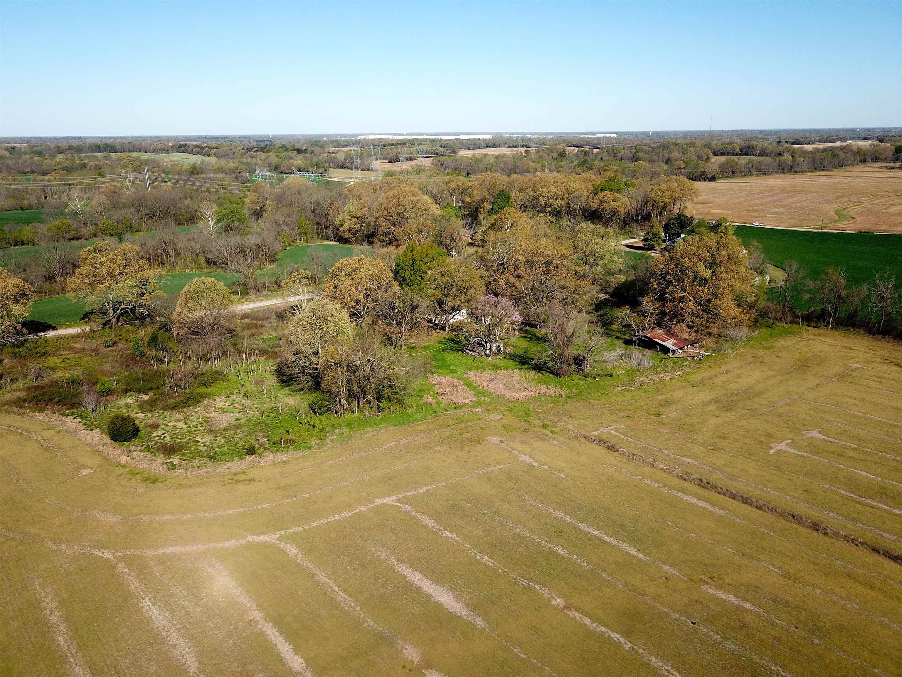 185 Akin Road Somerville, TN 38068 - Photo 8 of 14 a view of a field with an ocean view