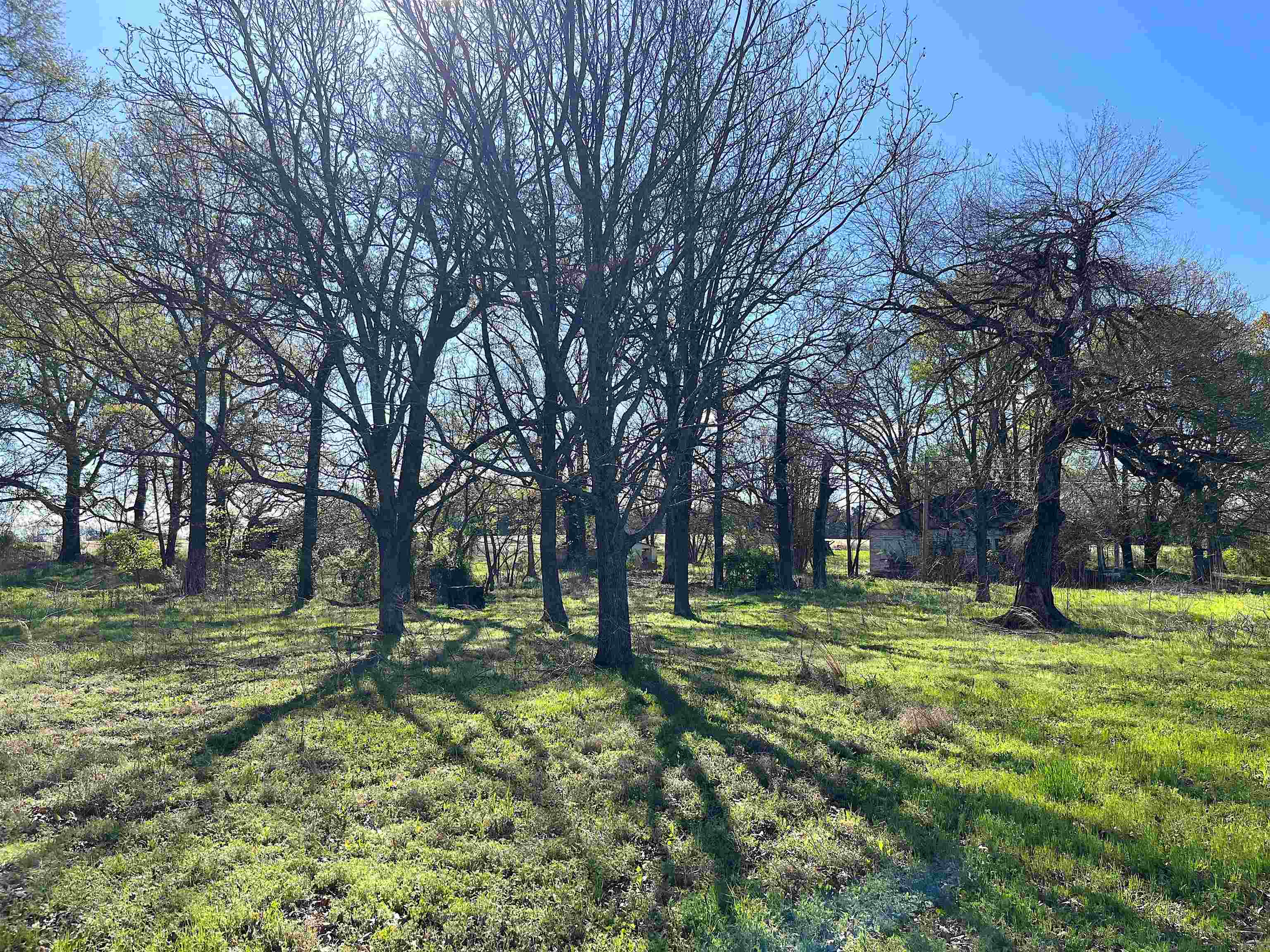185 Akin Road Somerville, TN 38068 - Photo 10 of 14 a view of park with trees