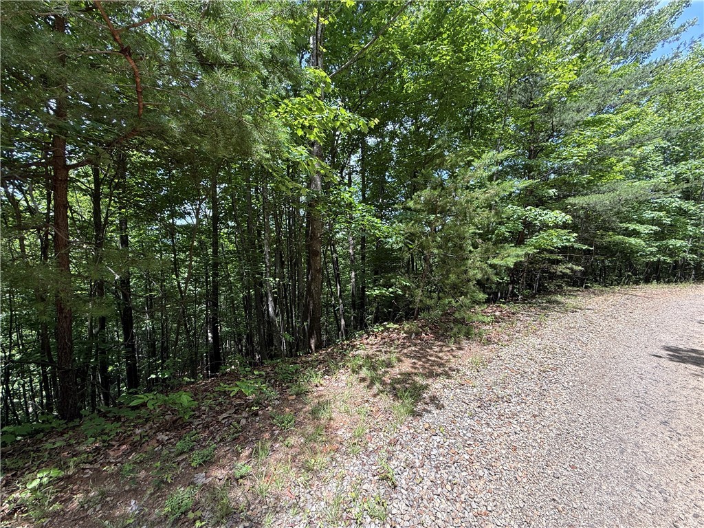 Lot 132 Warren Way Road Purlear, NC 28665 - Photo 10 of 36