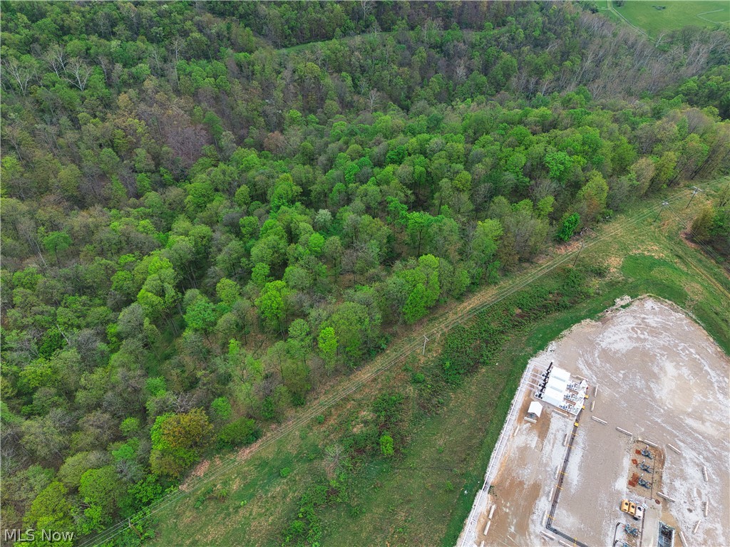 0 Bealls Ridge Wellsburg, WV 26070 - Photo 40 of 46
