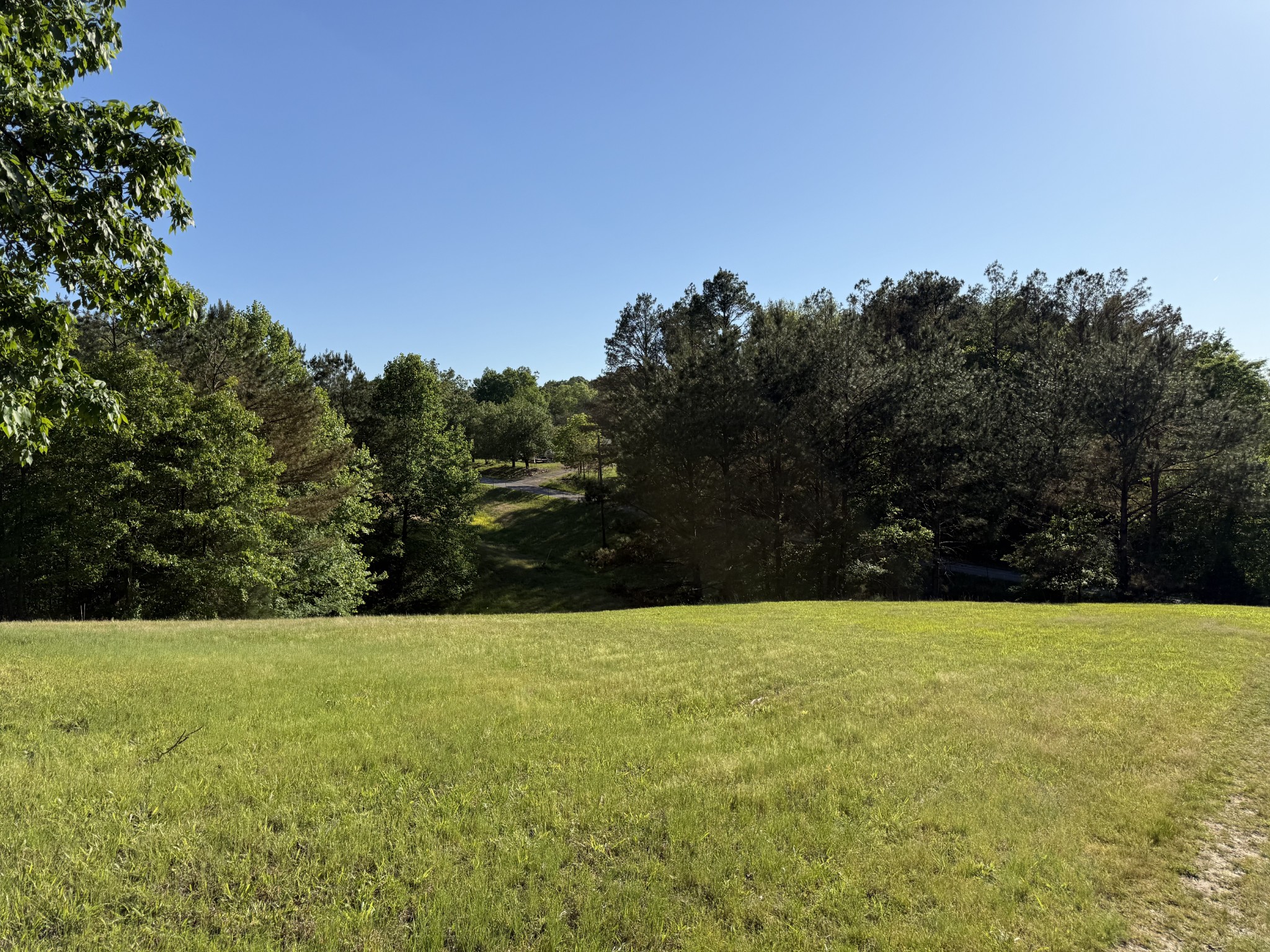0 Poplar Grove Road McEwen, TN 37101 - Photo 13 of 51 Gallery Image 13